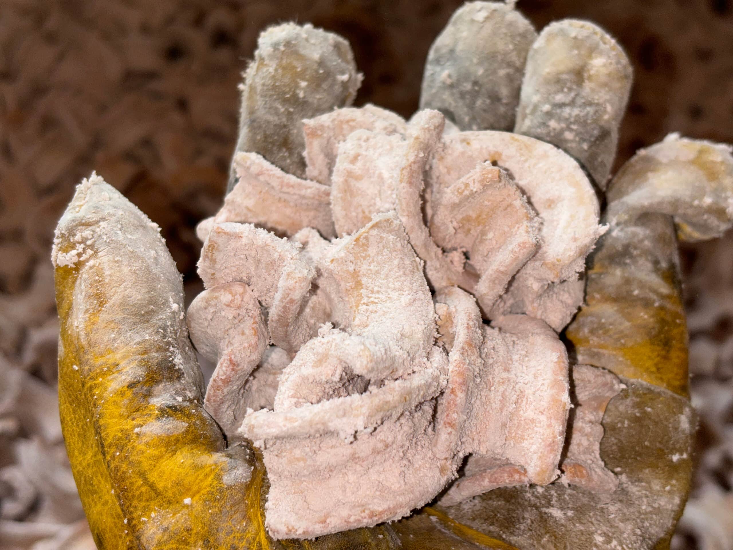 Fouled ceramic heat recovery media removed from an RTO